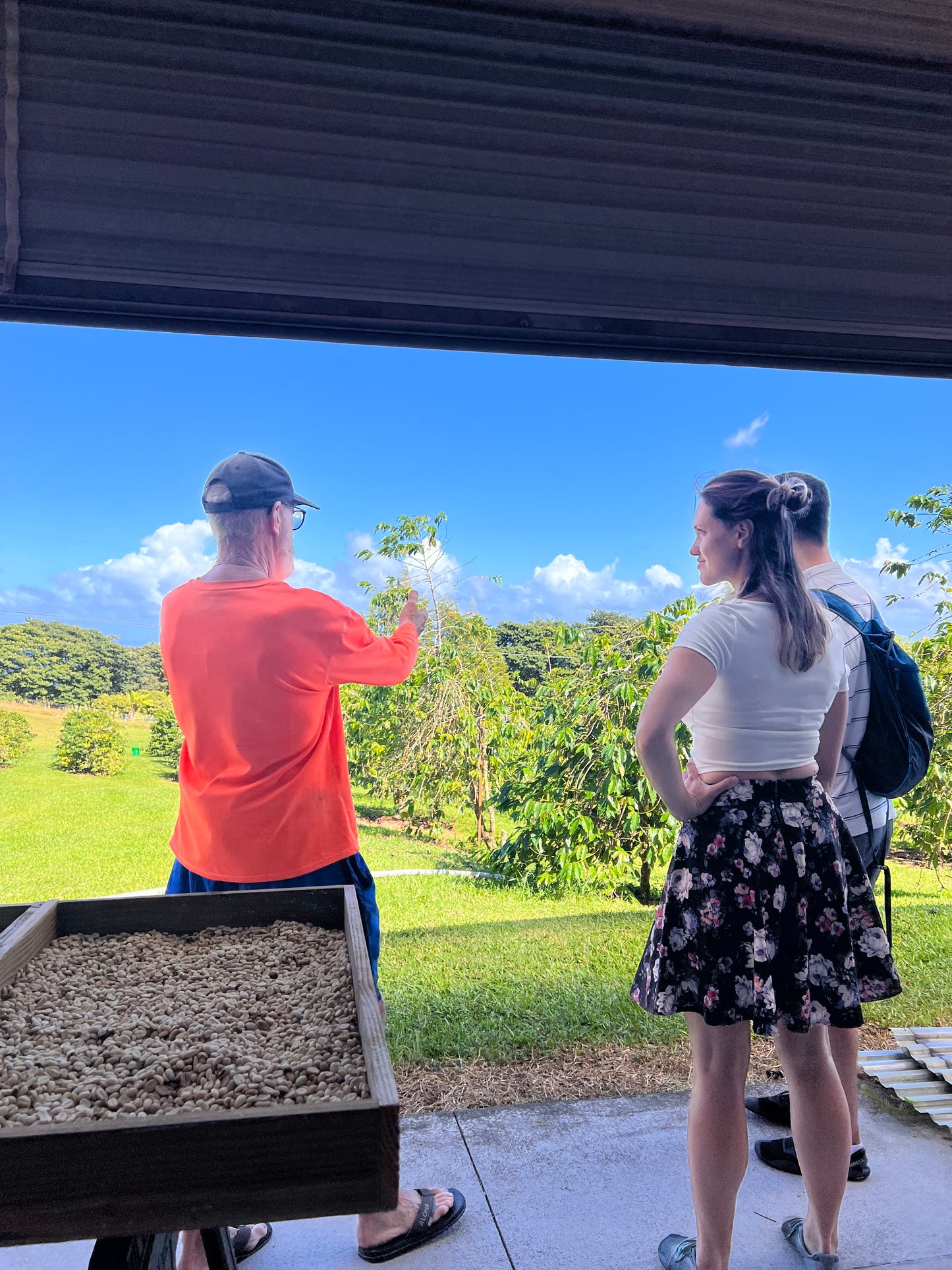 image of people listening during Hog Heaven Coffee farm tour