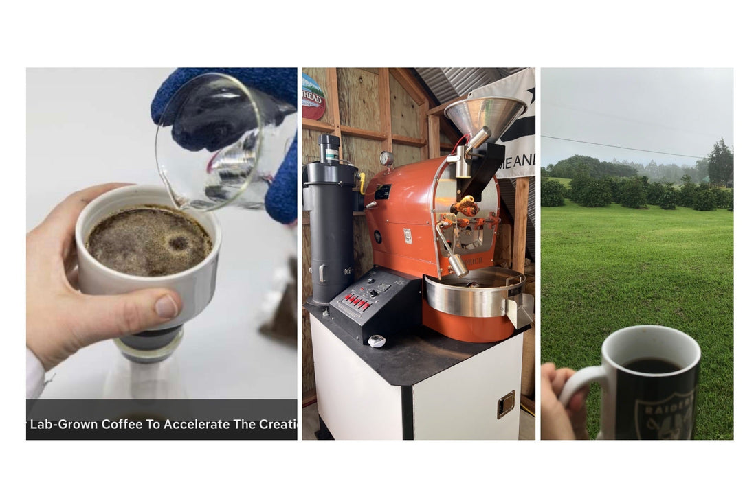 carousel comp of lab vs real coffee