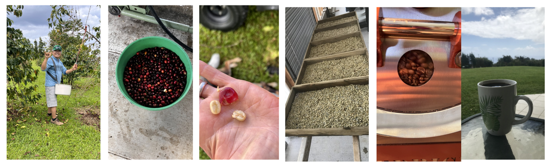 carousel of farm to cup