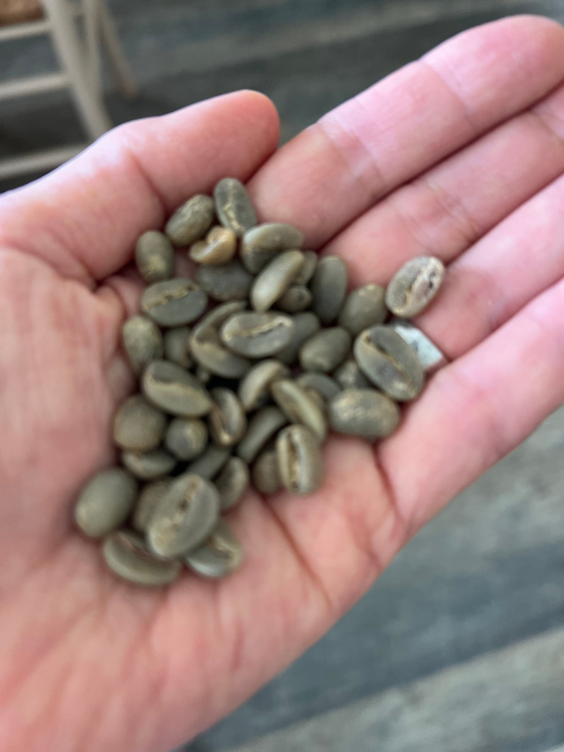 handful of green beans