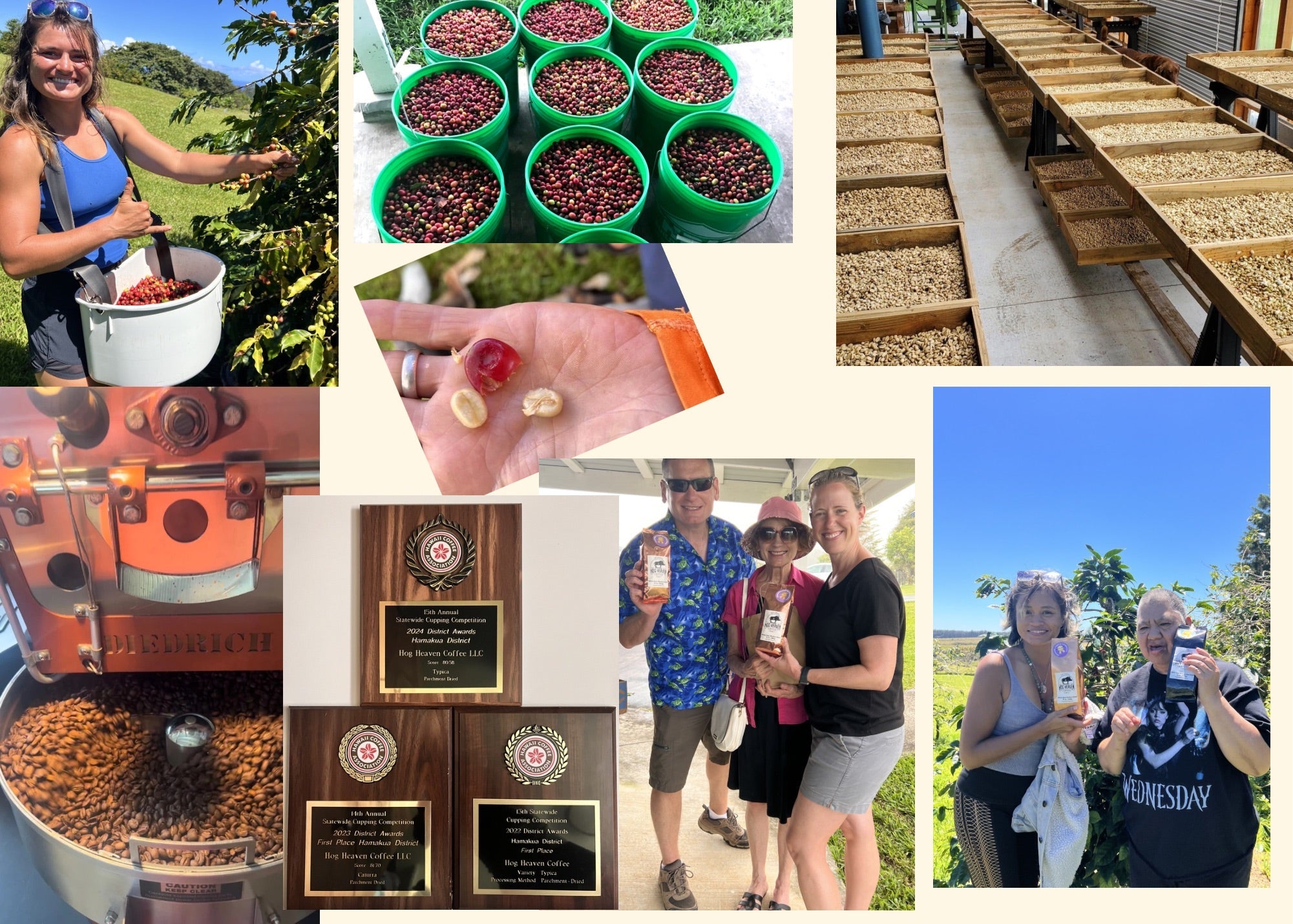 collage depicting product offerings