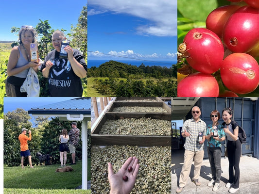 Collage of people at Hog Heaven Coffee farm tour outdoors, scenic views, red berries, and coffee beans.